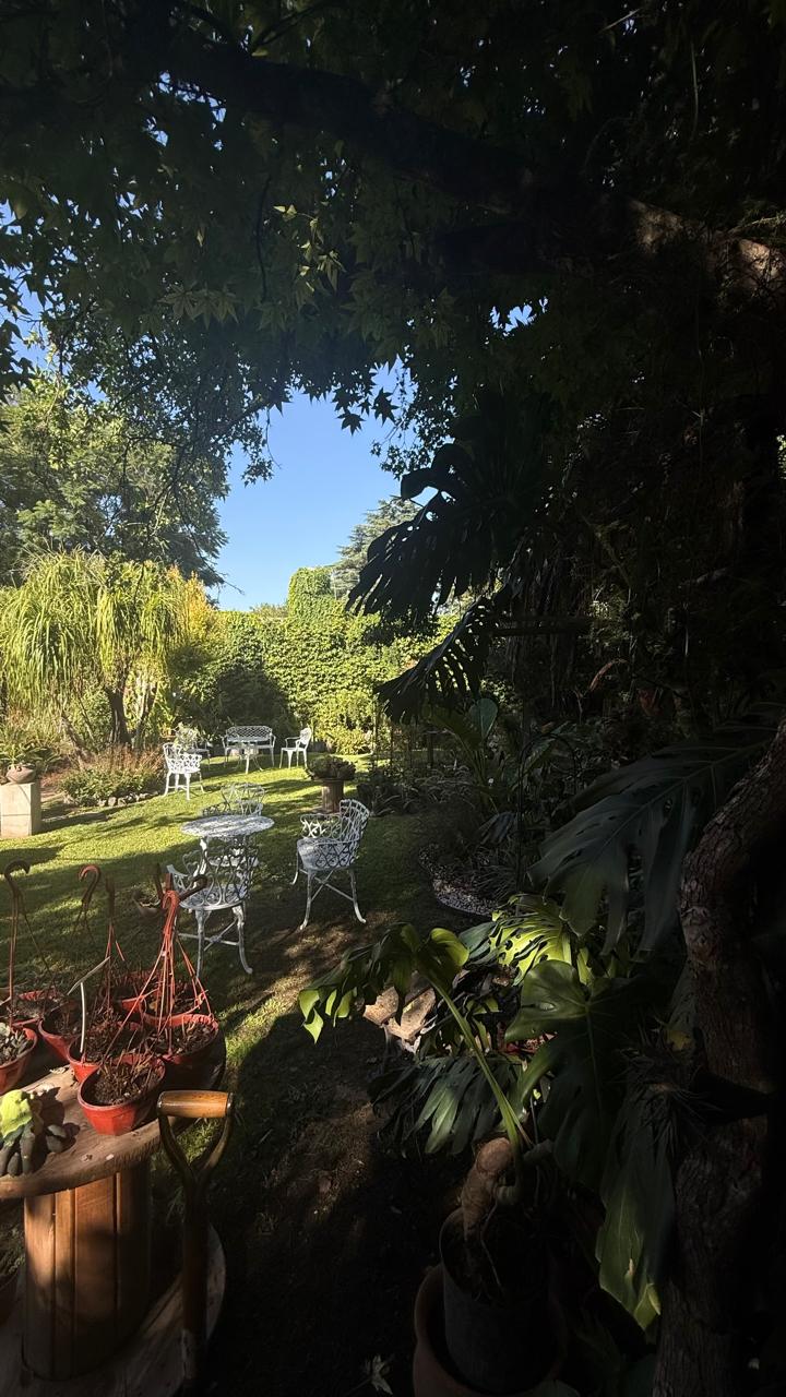 Rincón del jardín del vivero visto entre ramas y enredaderas, con muebles de jardín blancos de hierro forjado sobre el césped