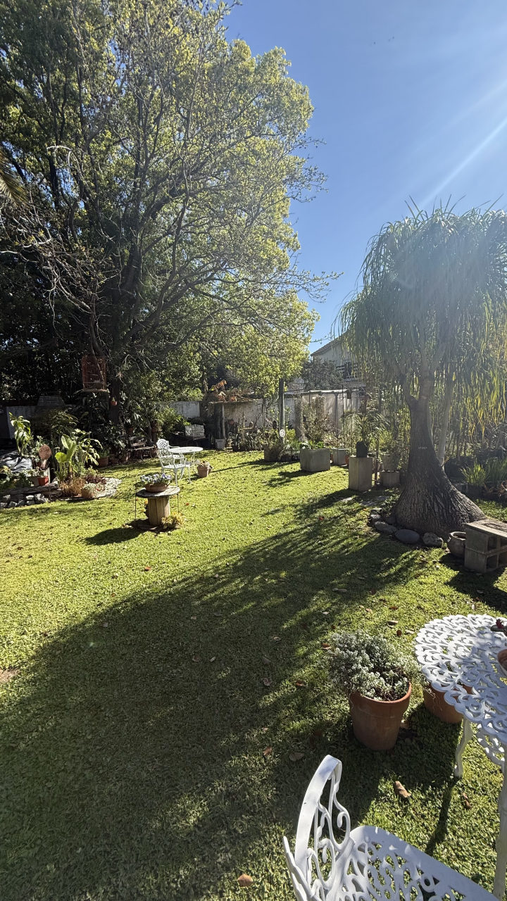 Otro sector del parque del vivero con césped, muebles de jardín blancos de hierro, un árbol grande y una palma cola de zorro a contraluz